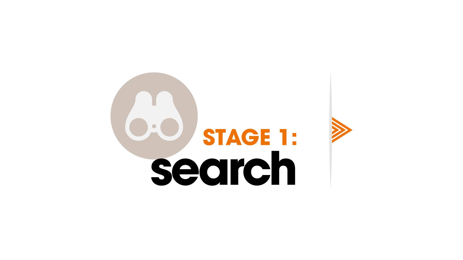 SAR Stage 1 - Search
