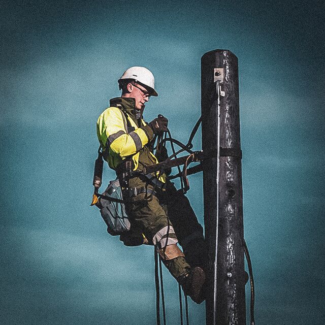 Pole Top Rescue "Train The Trainer", Instructor - Work At Height ...