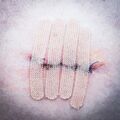 Wound Management